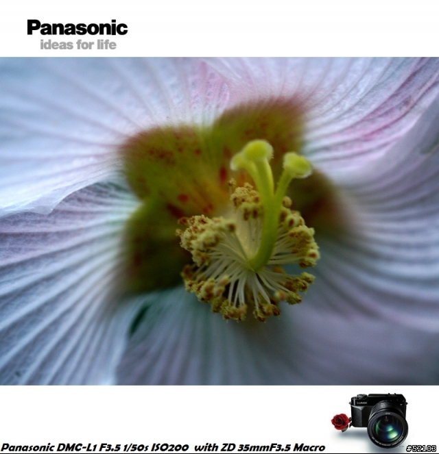炒冷飯!Panasonic DMC-L1便宜入手簡易開箱文[已新增實拍照]