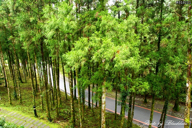 明池國家森林遊樂區