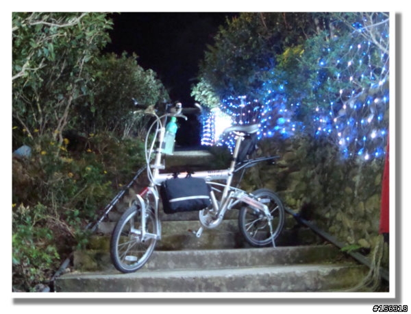 搭貓纜滑車