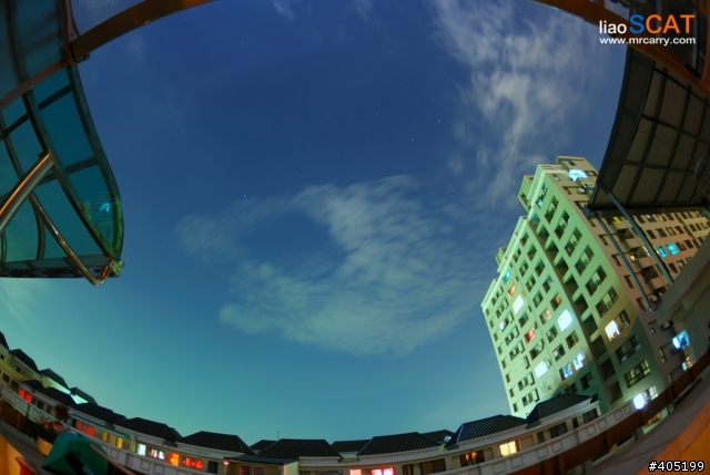 【貓】夜半無聲的都市夜空 (新鏡頭試拍)