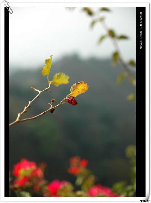 Tamron A16  開箱+試拍(0107新增)