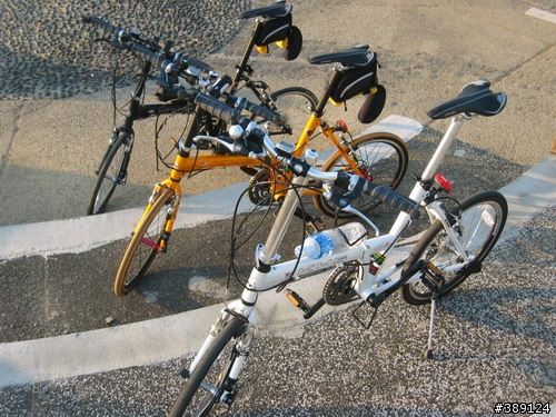 T3疊疊樂...3缺一.......(大黃蜂,黑麻吉,白帶魚)