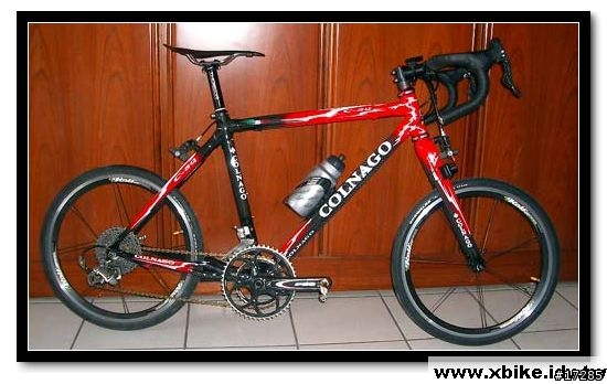colnago C50 20吋 小徑車