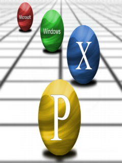 (W850)Windows XP ~~~~~