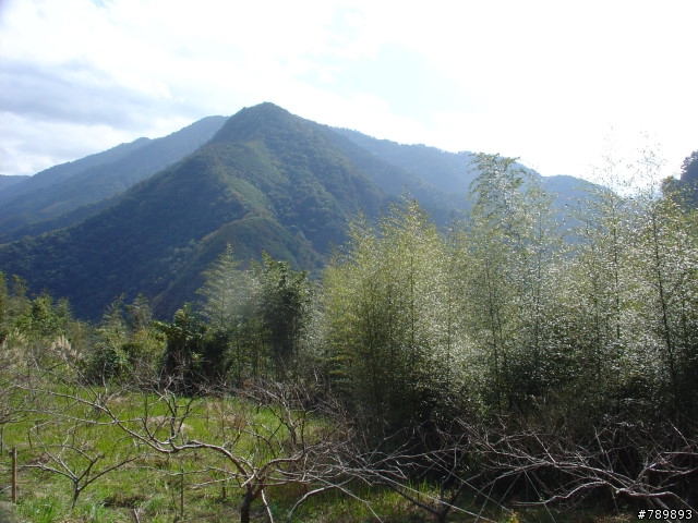 偉大的航道-新竹竹蜻蜓車隊-宇老、玉峰、北橫、羅馬公路大滿貫