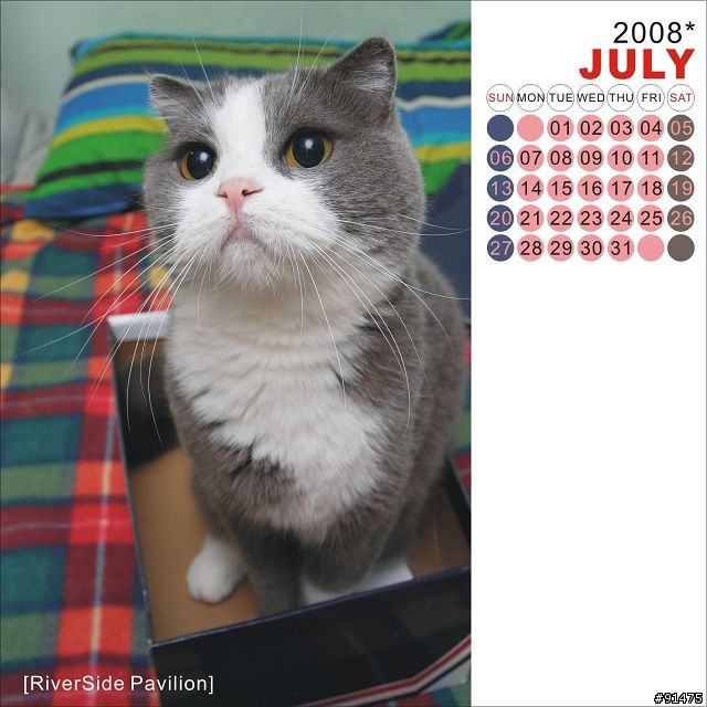 [意見募集]貓月曆最終測試版(2008/07/09更新)