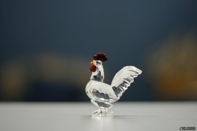 [簡單分享]  SWAROVSKI CRYSTAL 匆忙間拍的聖誕禮物