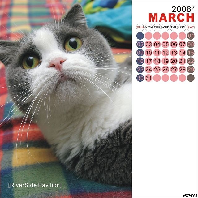 [意見募集]貓月曆最終測試版(2008/07/09更新)