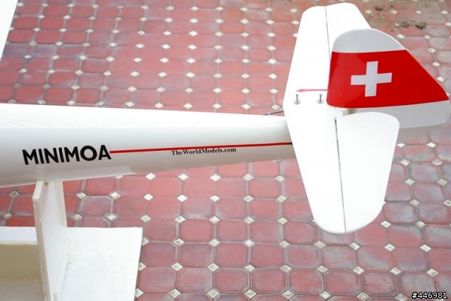 [分享]來自中國大陸之MINI MOA 無動力滑翔機
