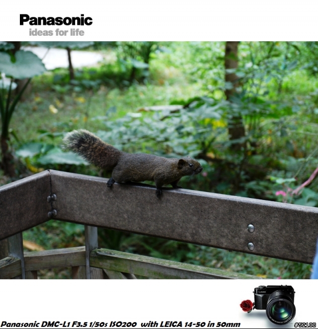 炒冷飯!Panasonic DMC-L1便宜入手簡易開箱文[已新增實拍照]