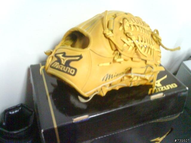 [分享] MIZUNO  火鳥金標 內野手套