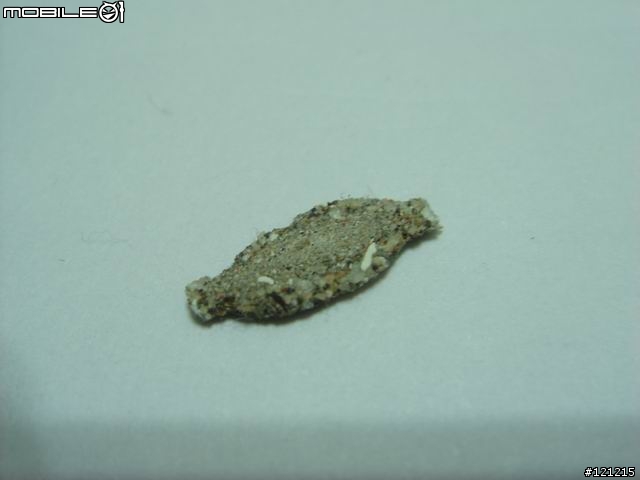 [圖文並茂]這是什麼怪蟲？