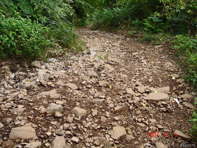 觀音山硬漢嶺(標高612公尺)