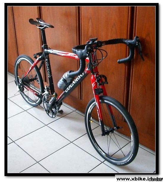 colnago C50 20吋 小徑車