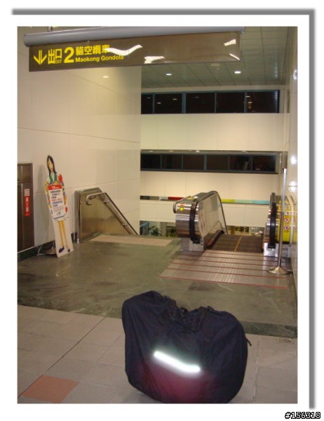 搭貓纜滑車