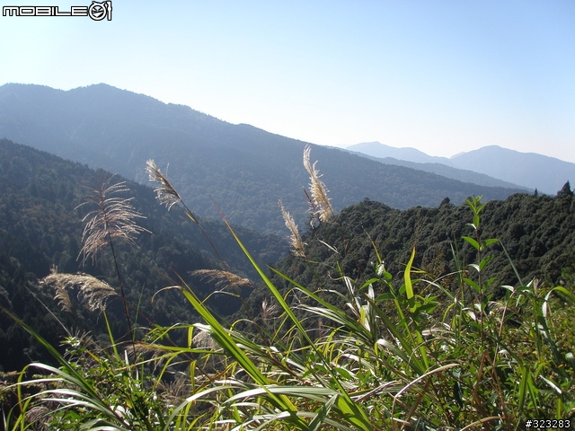[遊記]阿里山-塔塔加