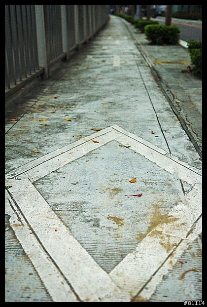 中和~鶯歌自行車道 路面寫真 (圖多)