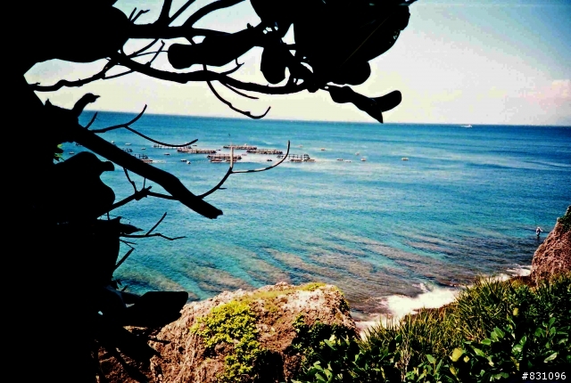 LOMO LC-A 眼中的小琉球