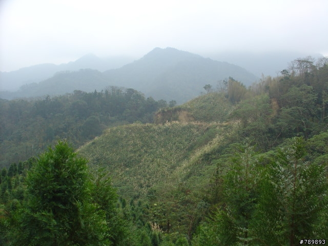 [相片]大山背吃吃喝喝團-2007/12/08
