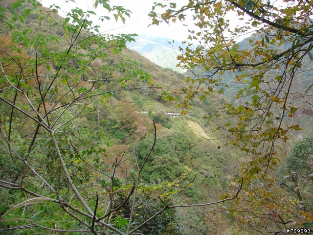 偉大的航道-新竹竹蜻蜓車隊-宇老、玉峰、北橫、羅馬公路大滿貫