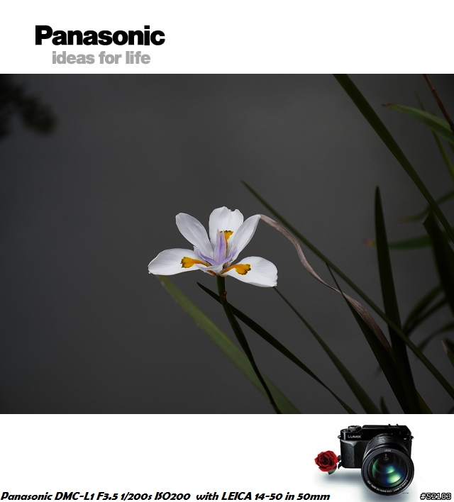 炒冷飯!Panasonic DMC-L1便宜入手簡易開箱文[已新增實拍照]