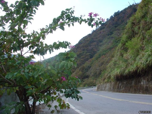 偉大的航道-新竹竹蜻蜓車隊-宇老、玉峰、北橫、羅馬公路大滿貫