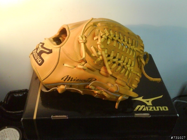 [分享] MIZUNO  火鳥金標 內野手套