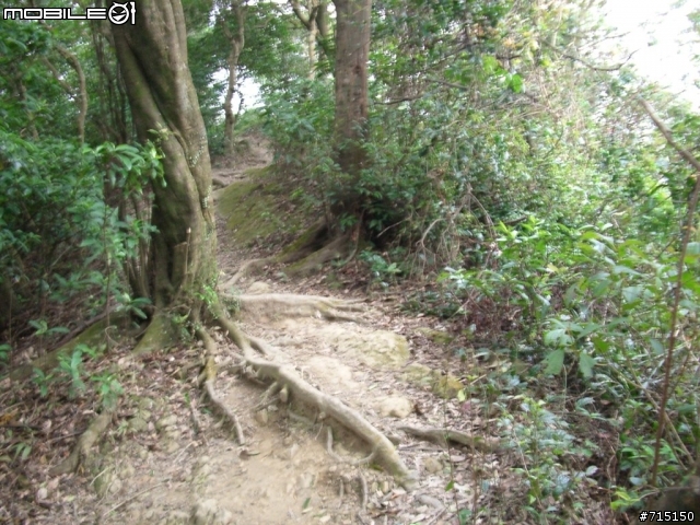 烘爐地往新店方向越嶺報告