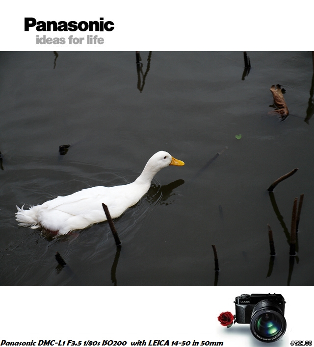 炒冷飯!Panasonic DMC-L1便宜入手簡易開箱文[已新增實拍照]