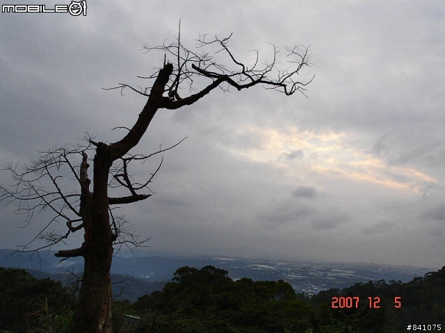 觀音山硬漢嶺(標高612公尺)