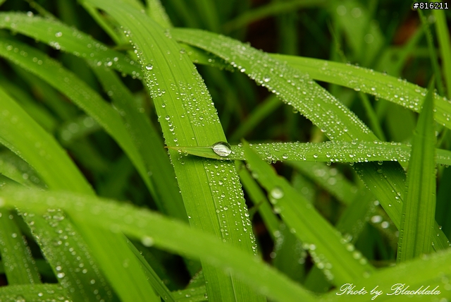 明池國家森林遊樂區