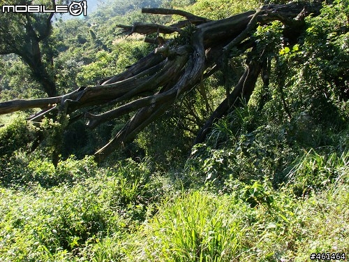 屏東->水門->舊筏灣->北大武(85張圖)