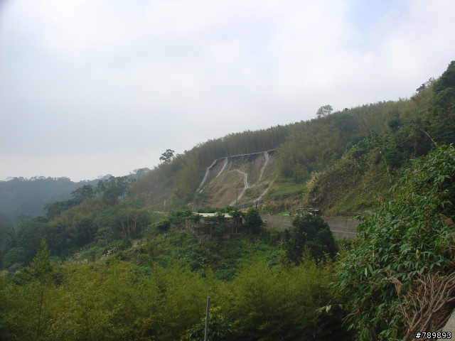 [相片]大山背吃吃喝喝團-2007/12/08