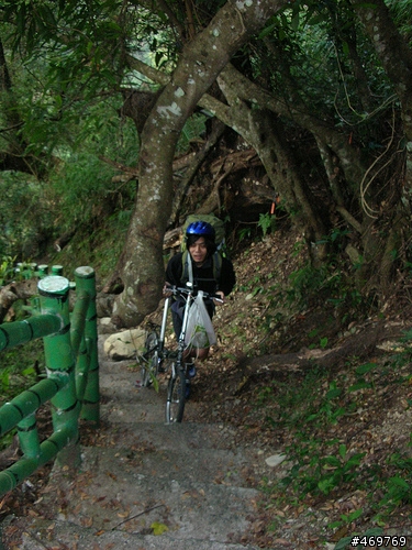三隻老狗,20速dahon speed 小折強攻埡口