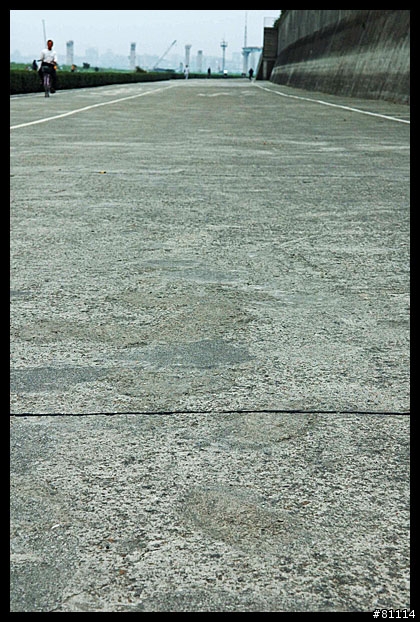 中和~鶯歌自行車道 路面寫真 (圖多)