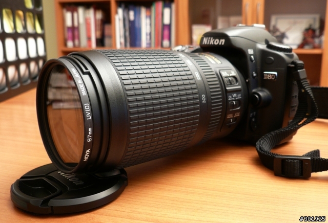 [分享] 物美價廉的打鳥鏡 Nikkor 70-300 VR
