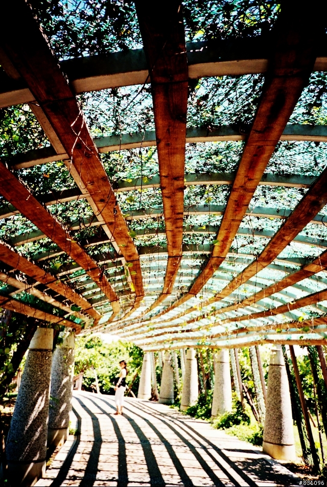 LOMO LC-A 眼中的小琉球