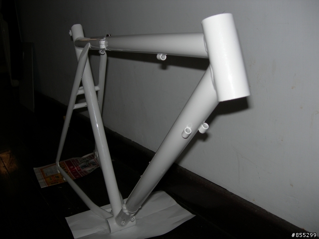 Dahon 古典鋼管大折車大改造 Part-1 脫掉舊衣服