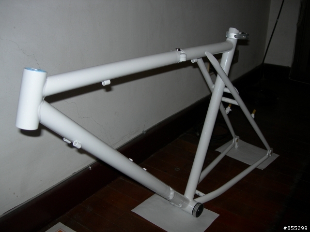 Dahon 古典鋼管大折車大改造 Part-1 脫掉舊衣服