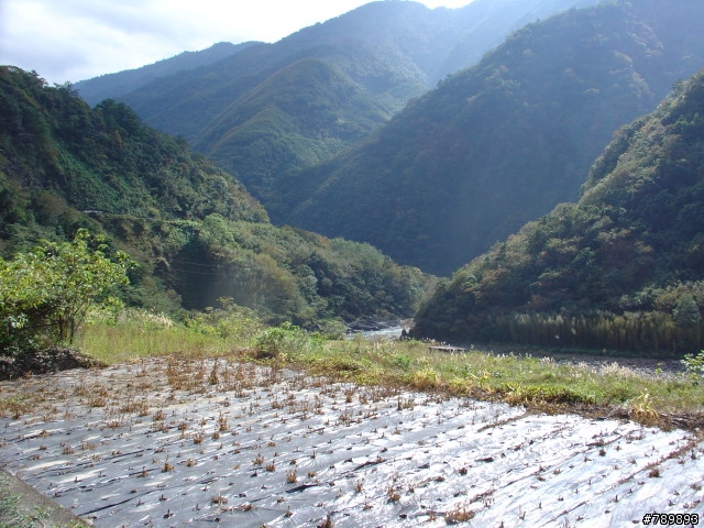 偉大的航道-新竹竹蜻蜓車隊-宇老、玉峰、北橫、羅馬公路大滿貫