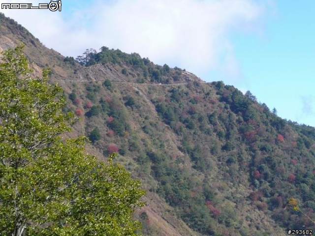 清境武嶺團～～照片在這兒