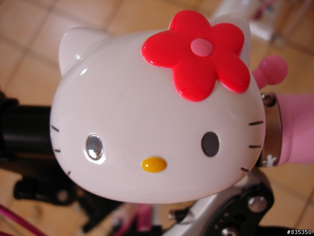 [分享] 我的粉紅 birdy ~~ 再進化