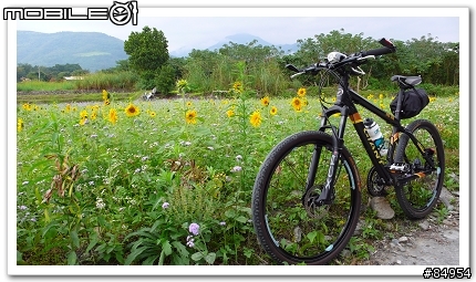 花東縱騎198km