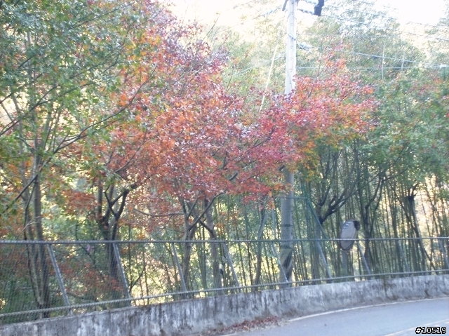 12/01 宇老摔車記