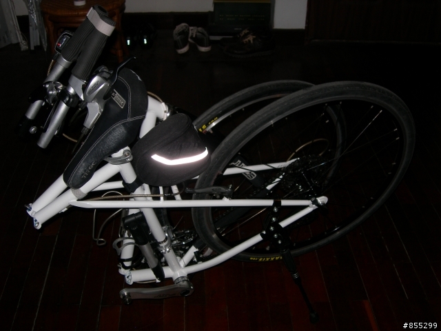Dahon 古典鋼管大折車大改造 V1 以及V2 完整版