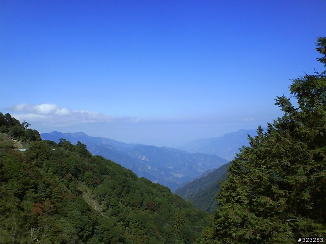 [遊記]阿里山-塔塔加