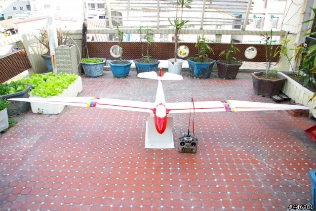 [分享]來自中國大陸之MINI MOA 無動力滑翔機
