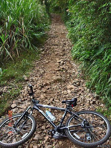 觀音山硬漢嶺(標高612公尺)