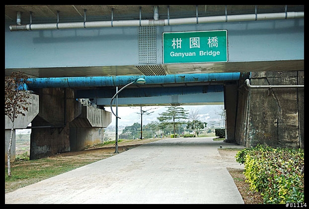 中和~鶯歌自行車道 路面寫真 (圖多)