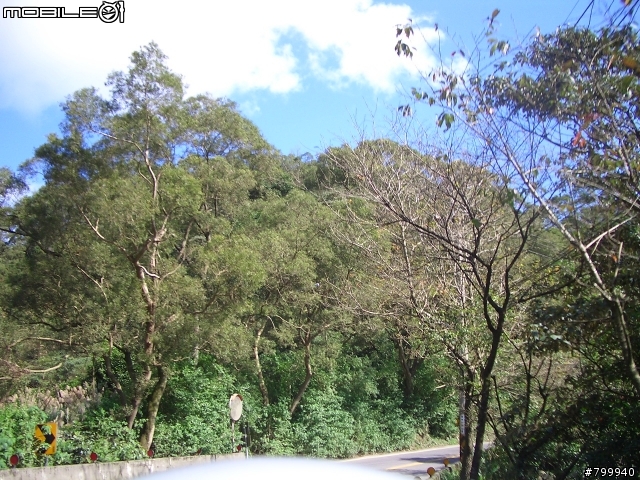 (分享)挑戰YAMAHA SV125(環島之旅圖多) 愜意.休閒.純樸味 GOGOGO 現在不做,以後再也不敢做了......